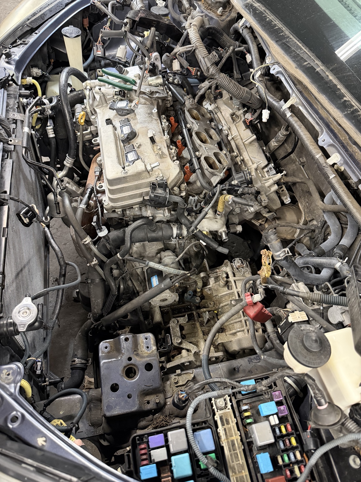 Detailed engine inspection and diagnostic work at Autotek